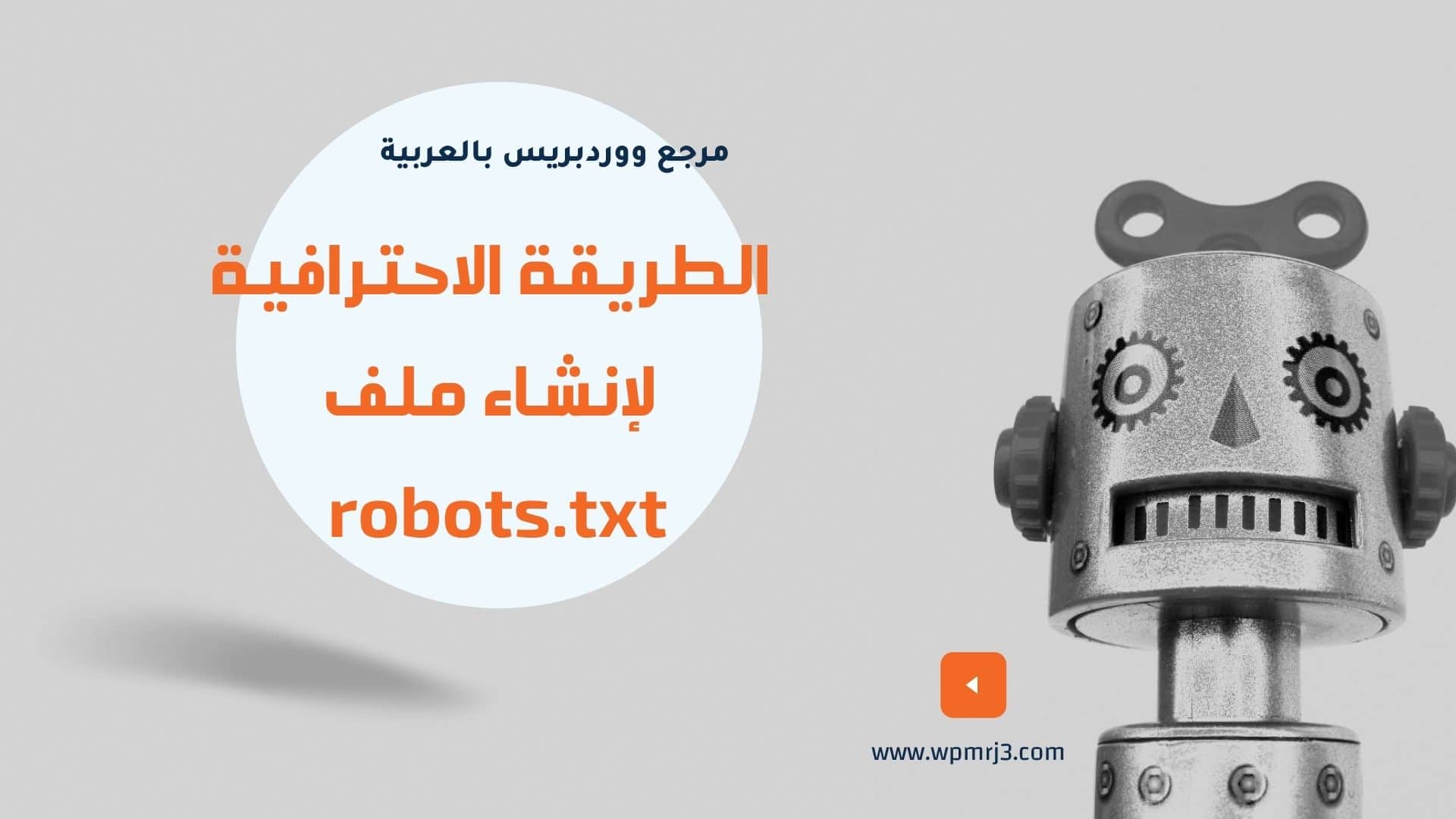  The professional way to create a robots.txt file 